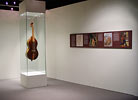 La mostra Storia di una viola